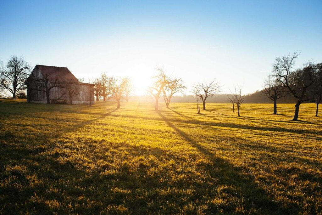 The Quest for the Perfect Morning Jog (and a very confused bike)