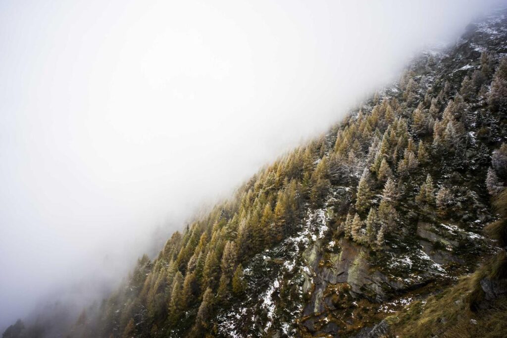 The Nostalgia of a Grainy Film Roll in the Alps