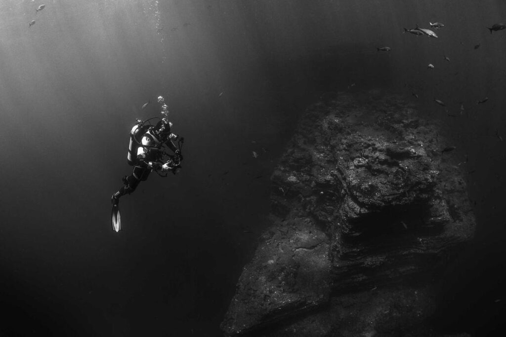 The Weekend Watchlist: A Descent into the Uncanny and the Eerie